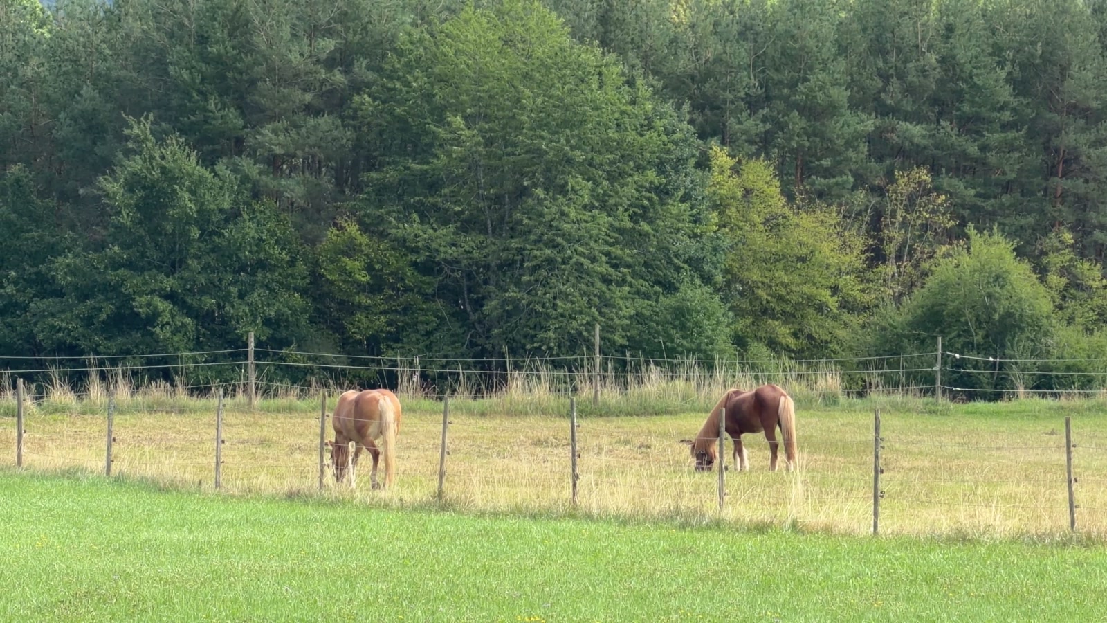 Standbild: Die Umgebung vor Ort